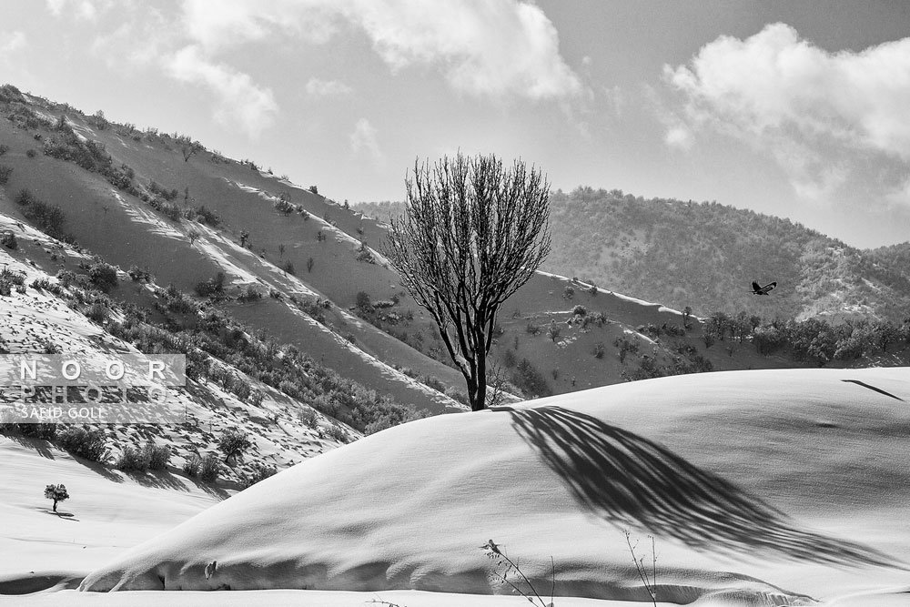 برف در ارتفاعات شهر مریوان استان کردستان