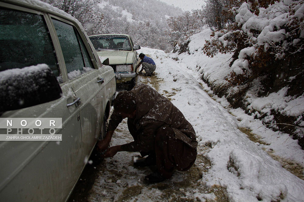 یکه تازی برف در مریوان کردستان