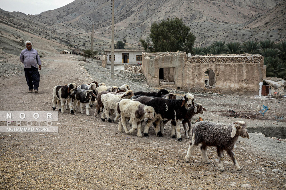 زندگی در روستاهای محروم شهر دشتستان بوشهر