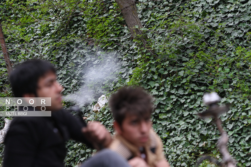 مصرف قلیان در دربند و ارتفاعات شمال تهران در ایام کرونا