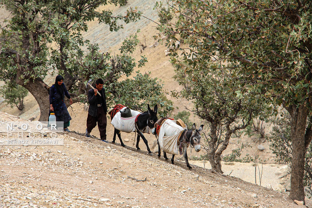منطقه محروم ذلقی غربی الیگودرز استان لرستان