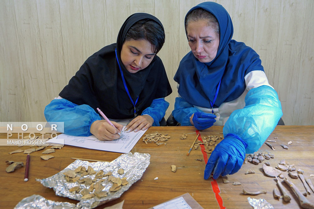 کارگاه دانشجویان باستان شناسی دانشگاه تهران