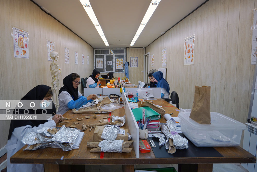 کارگاه دانشجویان باستان شناسی دانشگاه تهران