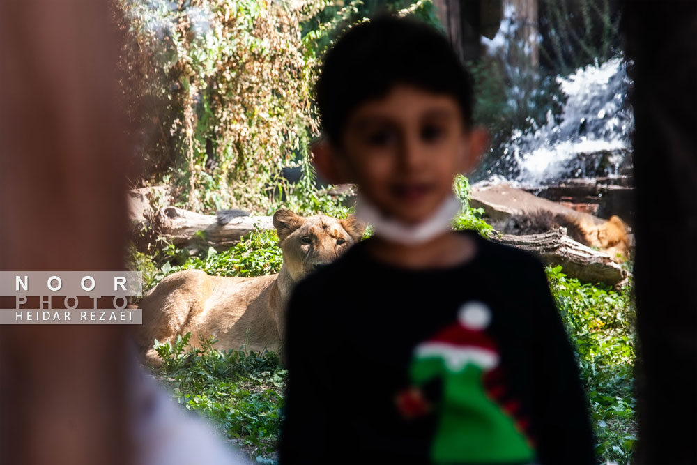 باغ وحش تهران در ایام کرونا