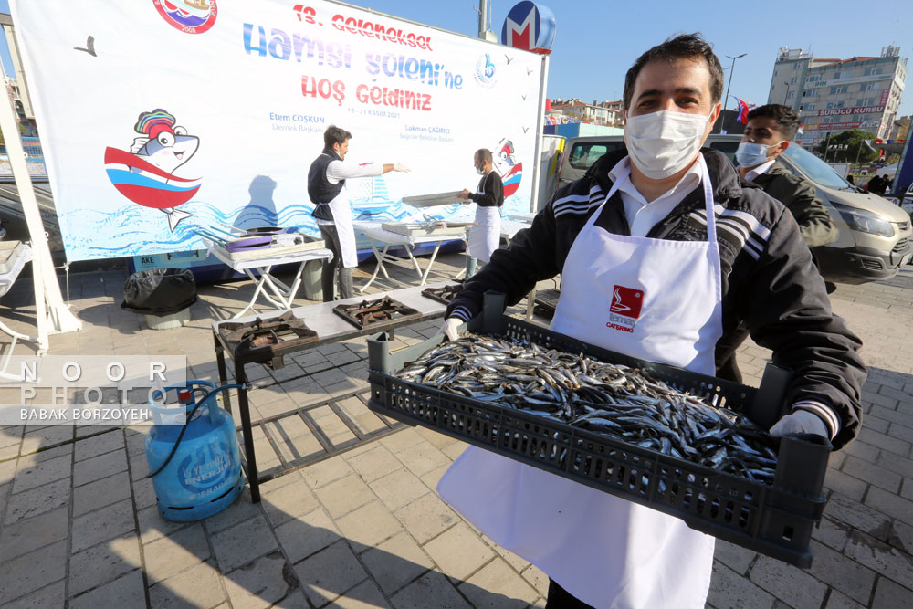 فستیوال ماهی های مسی دریای سیاه