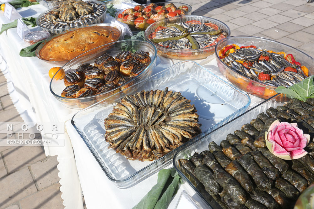 فستیوال ماهی های مسی دریای سیاه