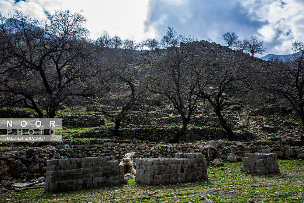 پدیده یکجانشینی عشایر بختیاری اندیکا در شمال خوزستان