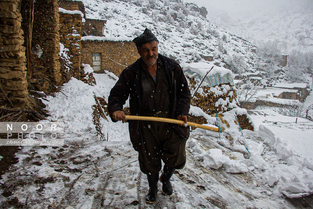 یکه تازی برف در مریوان کردستان