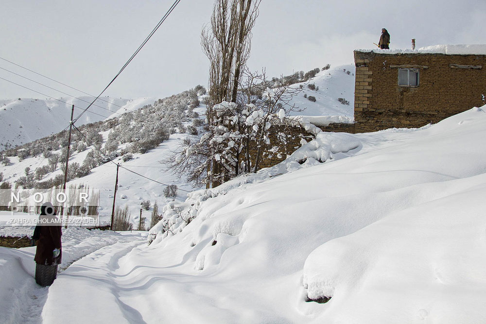 یکه تازی برف در مریوان کردستان