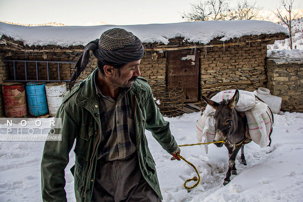 یکه تازی برف در مریوان کردستان