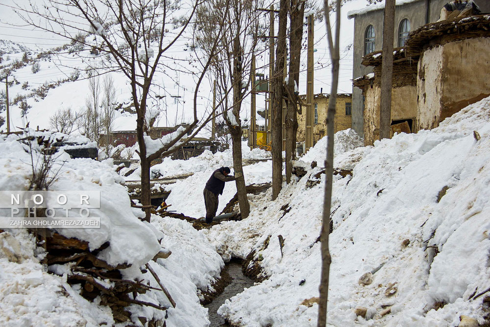 یکه تازی برف در مریوان کردستان