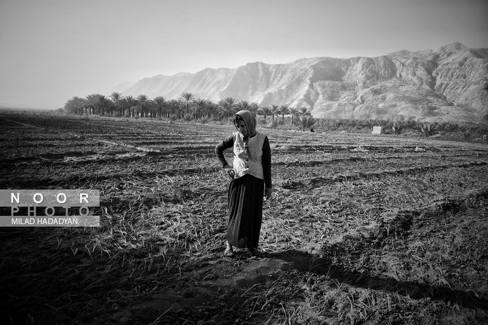 زندگی نوجوان بازمانده از تحصیل در منطقه محروم دشتستان بوشهر