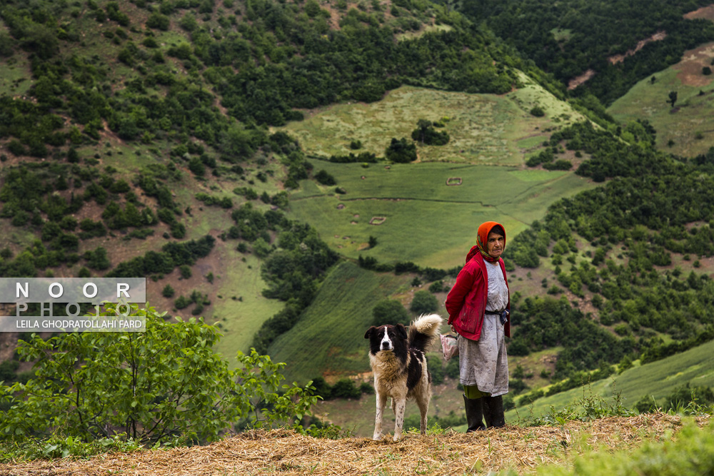 زنان کشاورز در مزارع کشاورزی استان گلستان