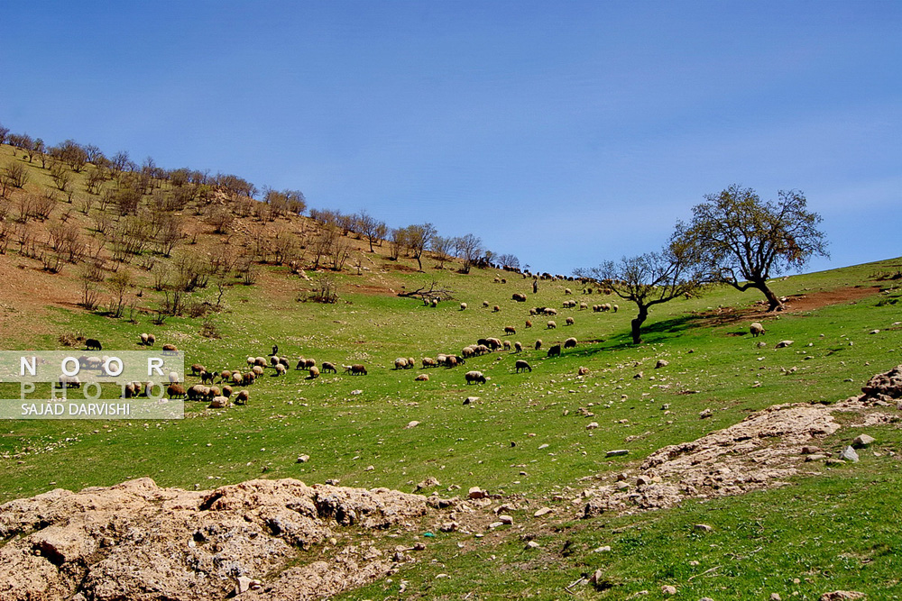 جاذبه های طبیعی و فرهنگی لرستان