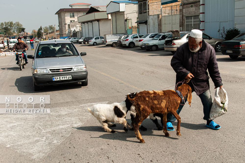 چهارشنبه بازار گرگان