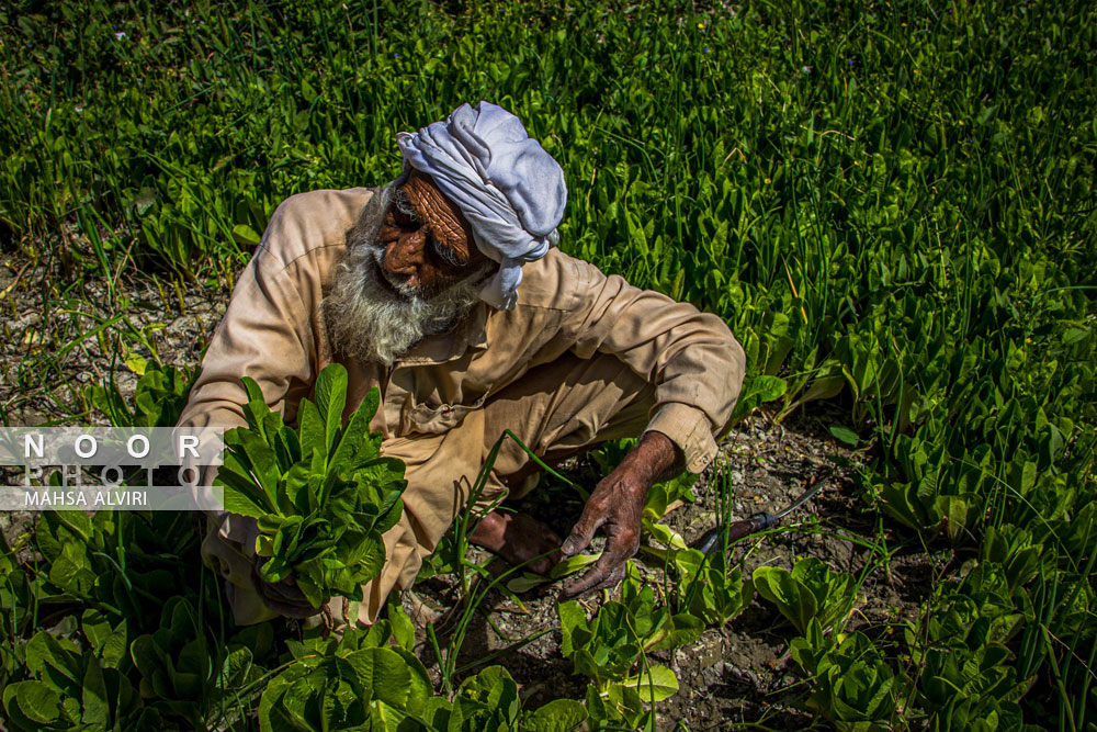 سواحل دریای عمان و کویر سیستان و بلوچستان