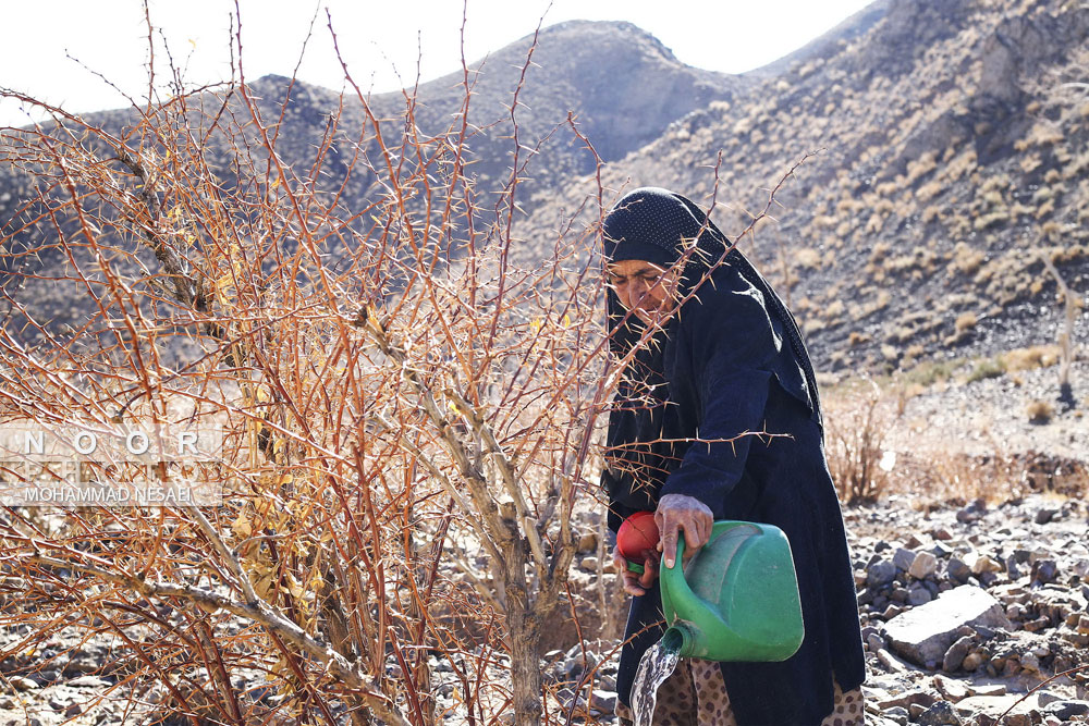 خشکسالی در خراسان جنوبی