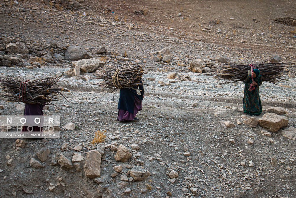 زندگی زنان سخت کوش ذلقی غربی الیگودرز لرستان